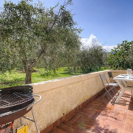 Moderne Avec Vue Sur Montagne à * Taglio-Isolaccio